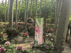 -仁和公园(顺义区)