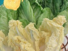 蔬菜拼盘-采椰郎椰子鸡(融创茂店)