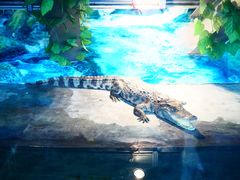 -成都浩海立方海洋公园