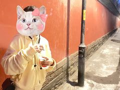 -北京国子监胡同