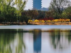 -永定河休闲森林公园