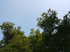 -白塘生态植物园