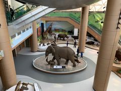 -陕西自然博物馆