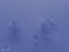 -常州海昌海洋探索馆