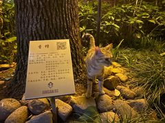 -静安公园(静安寺街道)