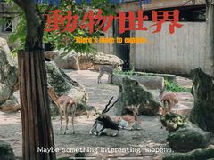 -成都动物园
