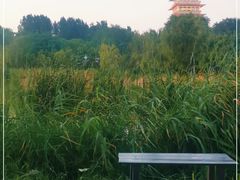 -Supine Bistro溯泮餐厅