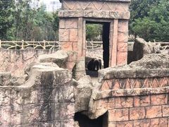 -南昌动物园