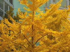 -上海交通大学(闵行校区)