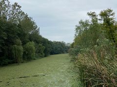 -溱湖国家湿地公园