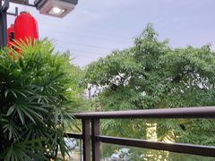 -老幺泉水鸡