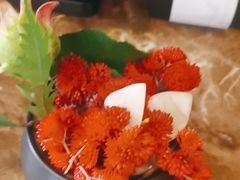 -大鸭梨烤鸭(北洼路店)