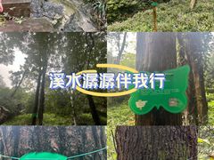 -南京老山国家森林公园
