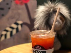 冰摇芒果花草茶-星巴克(深圳侨城街店)