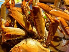 黄酒焗蟹-青桃餐厅