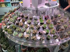 -KKV(深圳kk one 店)