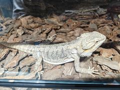 -万达广场(南京江宁店)