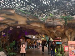 -杭州开元森泊度假乐园