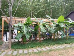 -Supine Bistro溯泮餐厅