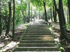 -阳台山森林公园