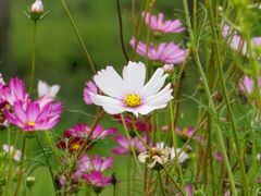 -汉长安城未央宫国家考古遗址公园