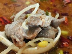 -大食代美食广场(迪士尼小镇店)