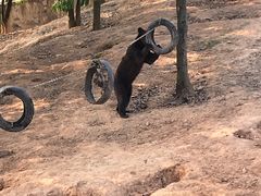 -泉州海丝野生动物世界