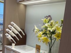 -柏乐口腔医院·舒适化无痛种植牙中心(东盟商务区院)