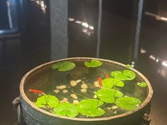 -曲水兰亭(北京四惠店)