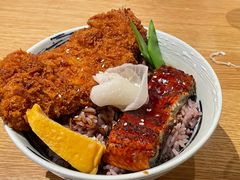 -堂本家·二代目·炸猪排(中心书城店)