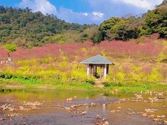 -广州市石门国家森林公园