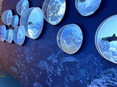 -上海中国航海博物馆