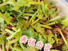 -老姑砂锅·烧烤天津菜(体北道店)