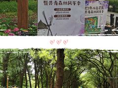 -上海共青森林公园