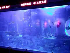 -无锡海洋馆