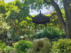 -上海醉白池公园