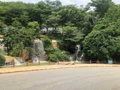 -广州市帽峰山景区
