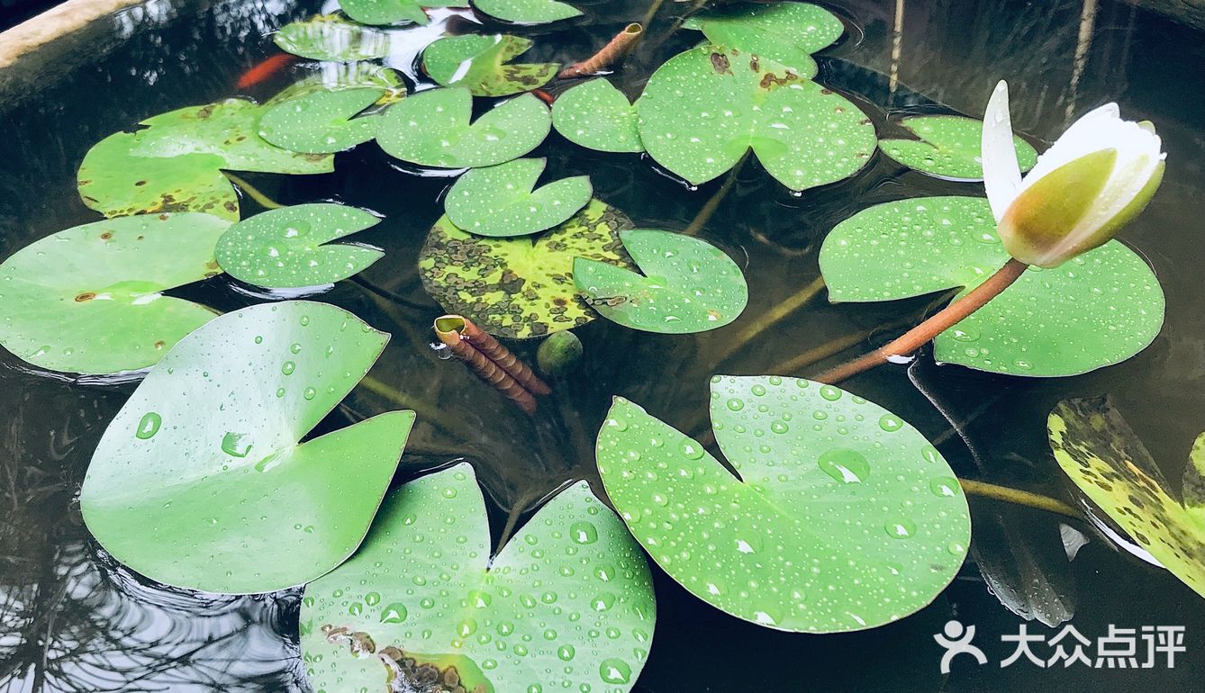 雨后～如新