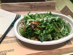-油梨树AVOCADO TREE(望京店)