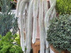 -自由生长植物工作室(深港花卉中心店)
