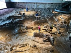 -自贡恐龙博物馆