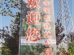 -金龙寺国家森林公园