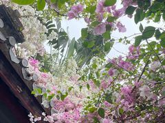 -深圳国际园林花卉博览园