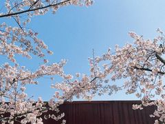 -龙美术馆(西岸馆)