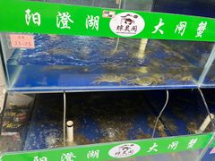 -阳澄湖大闸蟹·琼灵阁牌品牌连锁(吴中总店)