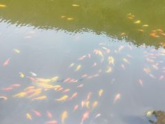 -昆嵛山石门里景区