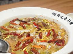 老坛子酸菜鱼-新太二·鲜料川菜(智慧城广百店)