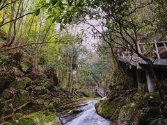-藏龙百瀑风景区