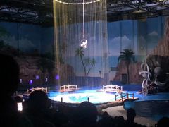 -华夏文旅海洋公园