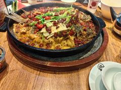 -老板恋上鱼(高新万达店)